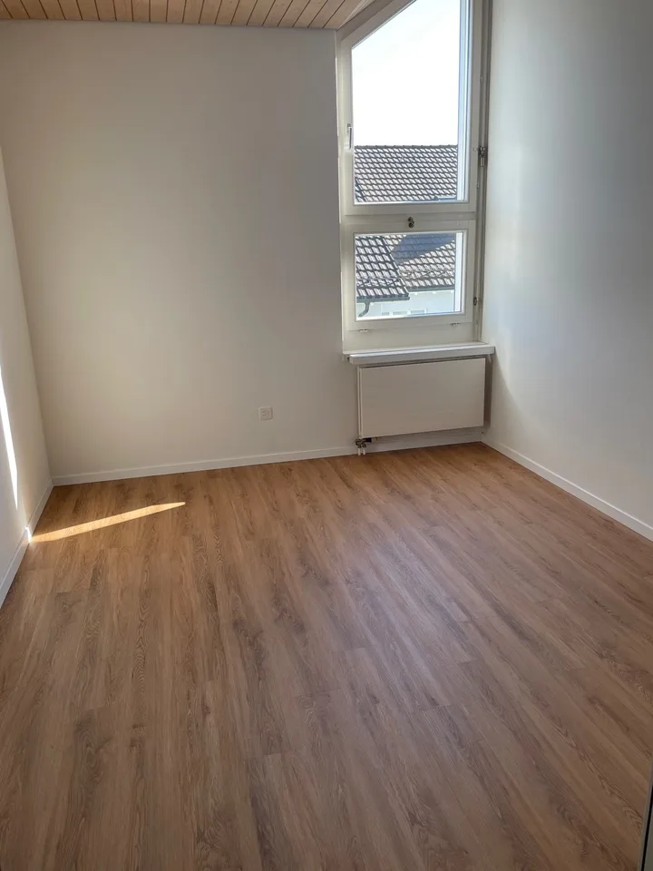 Grosse und helle Maisonettewohnung an ruhiger Lage