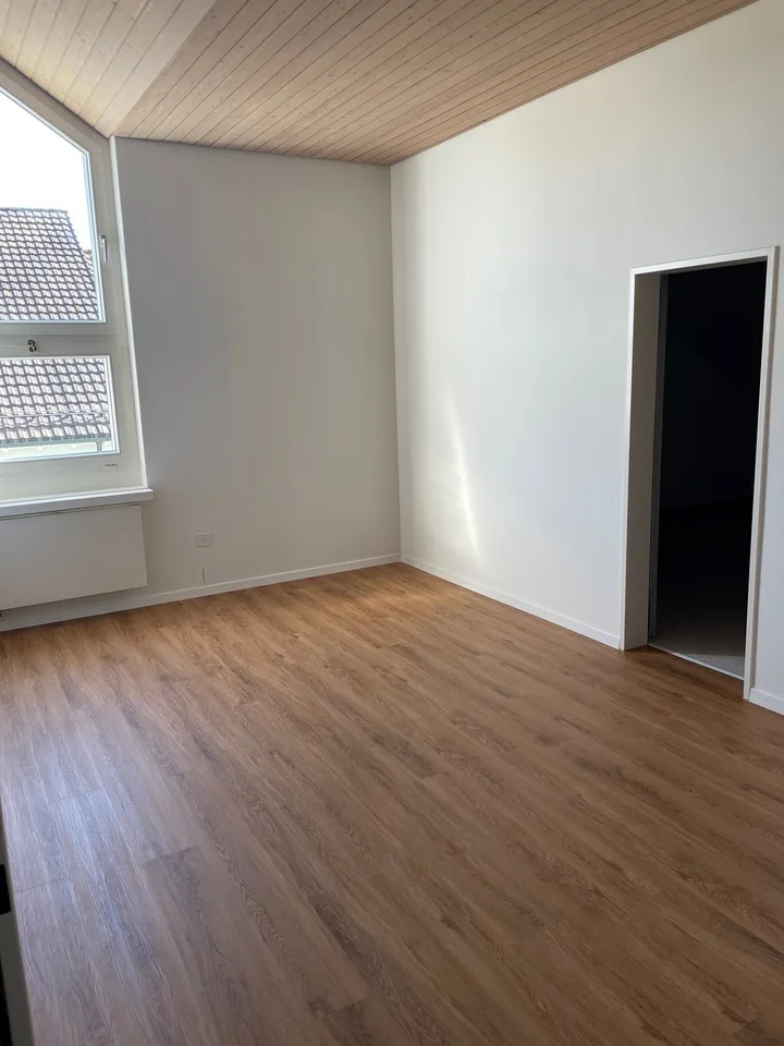 Grosse und helle Maisonettewohnung an ruhiger Lage