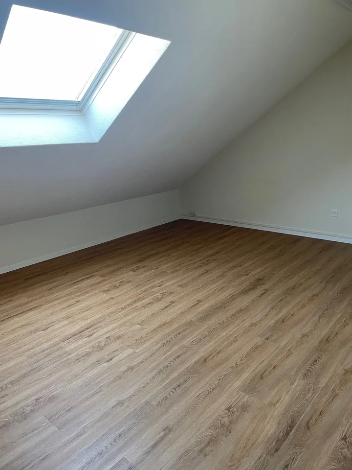 Grosse und helle Maisonettewohnung an ruhiger Lage
