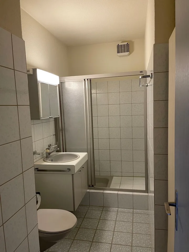 Grosse und helle Maisonettewohnung an ruhiger Lage