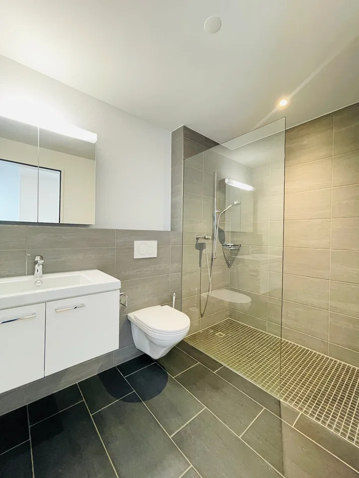 4.5-room attic apartment with a view over Herzogenbuchsee