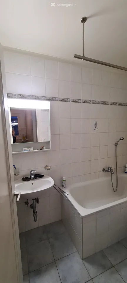 Zweizimmerwohnung in Plainpalais, nahe der Arve und Uni-Mail
