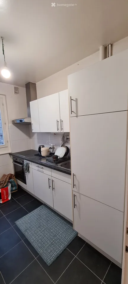 Zweizimmerwohnung in Plainpalais, nahe der Arve und Uni-Mail