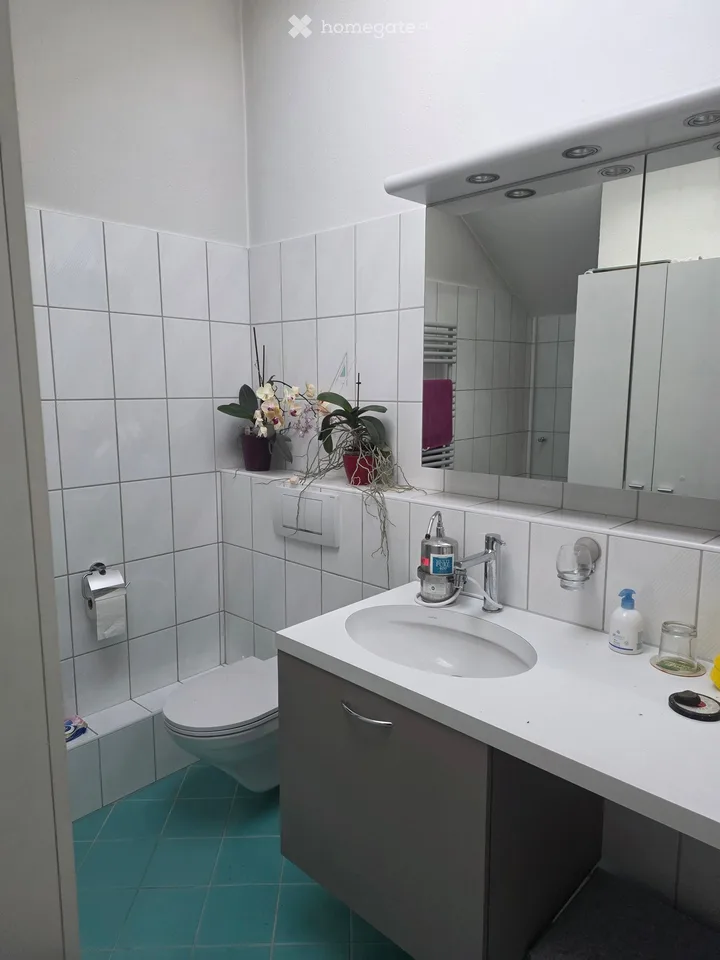 Charmantes 6-Zimmer-Zweifamilienhaus in Biel-Benken BL – Komplett renoviert!