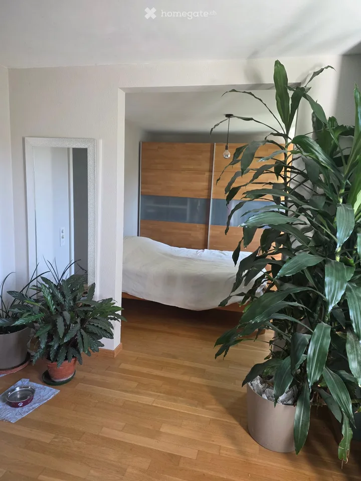 Charmantes 6-Zimmer-Zweifamilienhaus in Biel-Benken BL – Komplett renoviert!