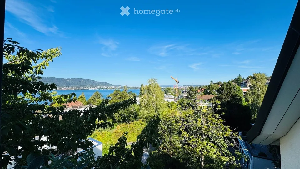Dachwohnung mit traumhaftem Seeblick & Cheminée