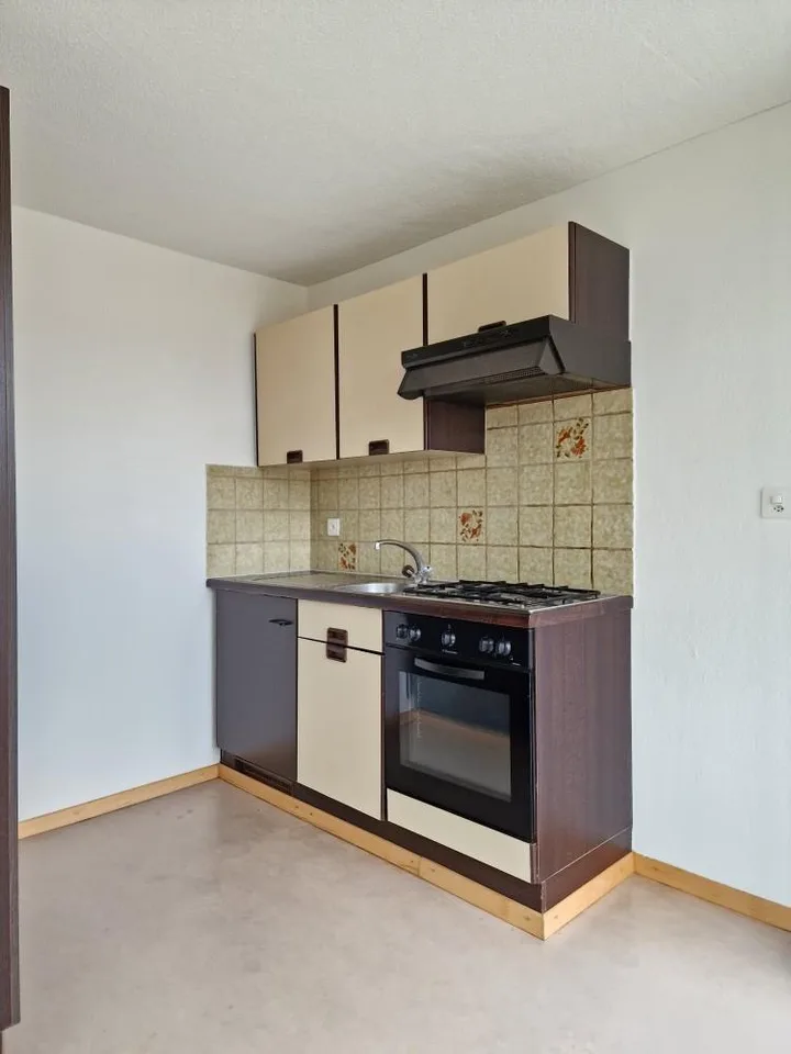 Appartement 1 pièce confortable à Wohlen!