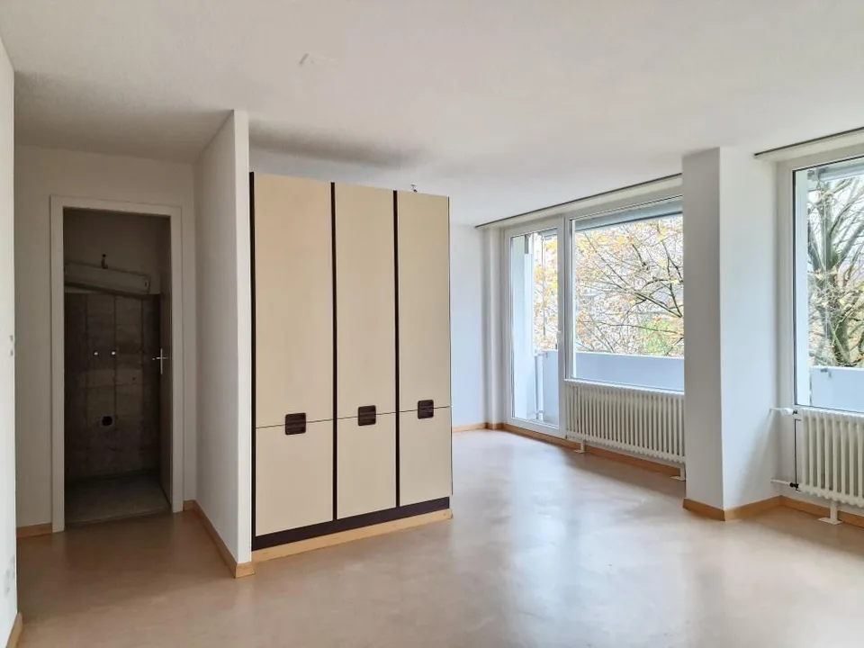 Appartement 1 pièce confortable à Wohlen!