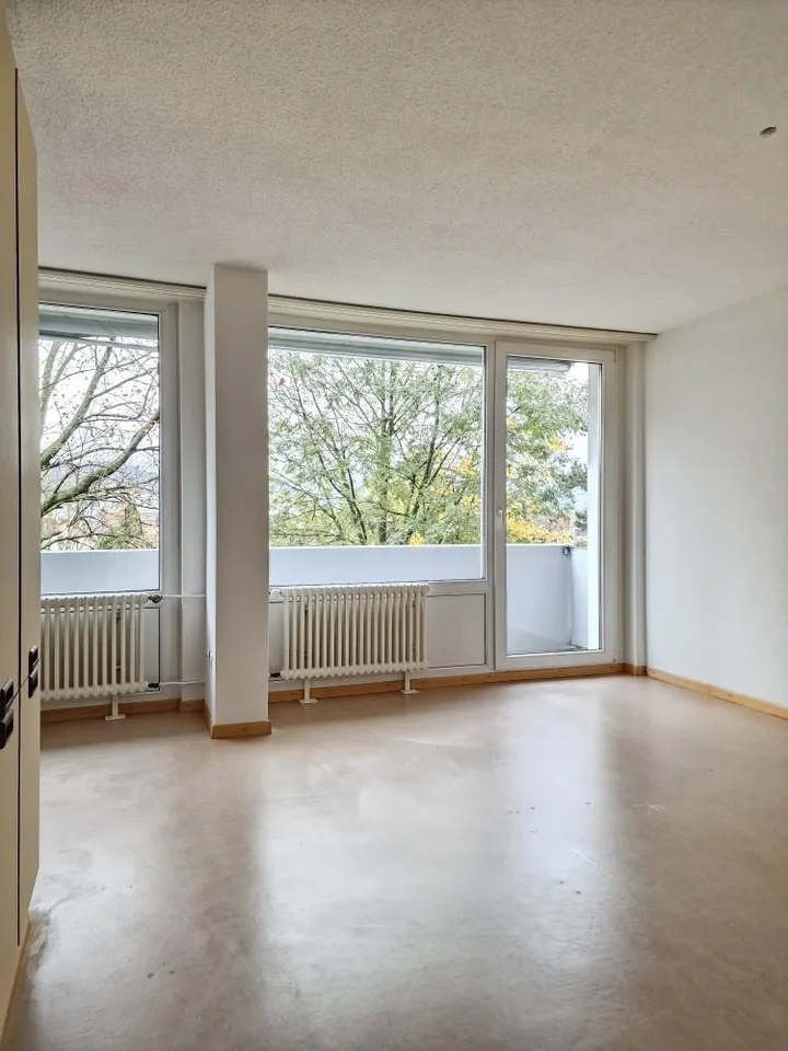 Appartement 1 pièce confortable à Wohlen!