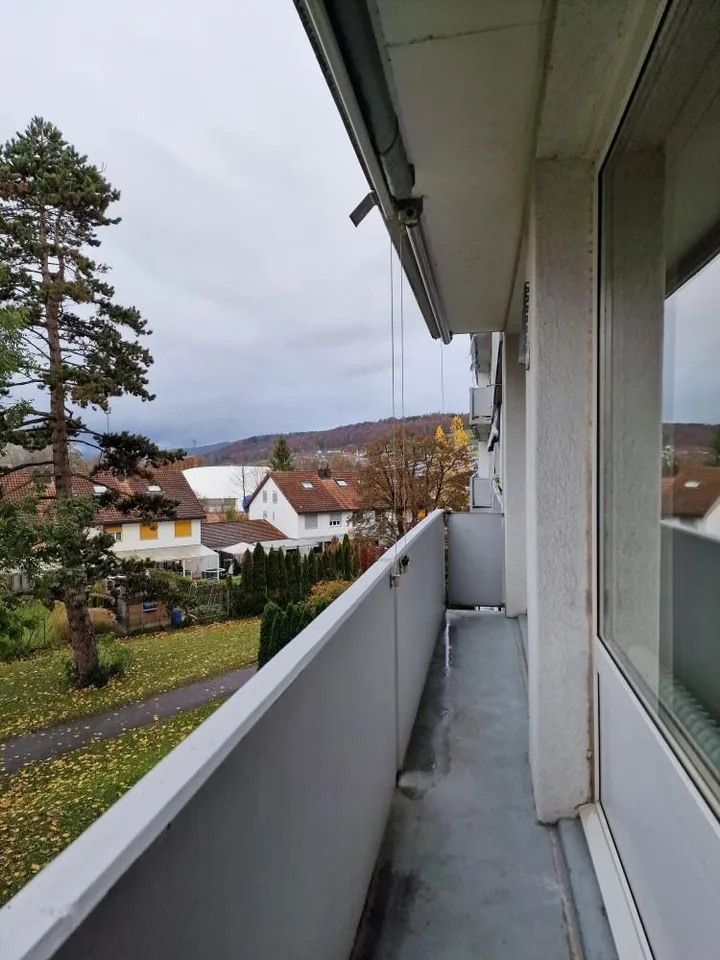 Appartement 1 pièce confortable à Wohlen!