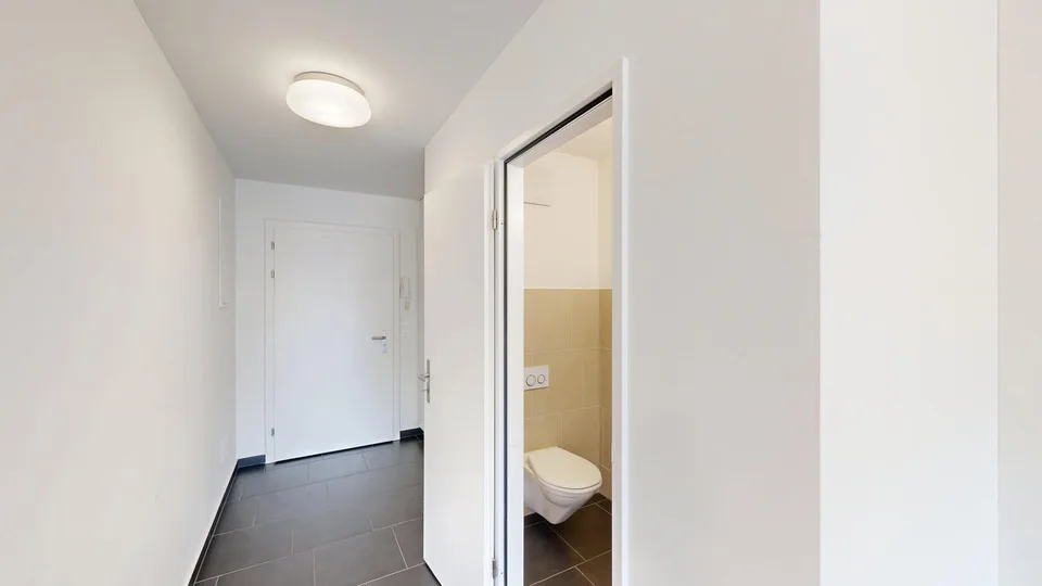 Modern 3.5-room apartment in Zurich Schwamendingen