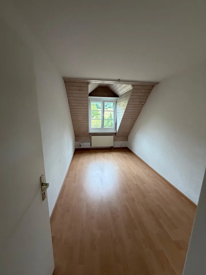 Einmalige 4.5 Zimmer Duplexwohnung!
