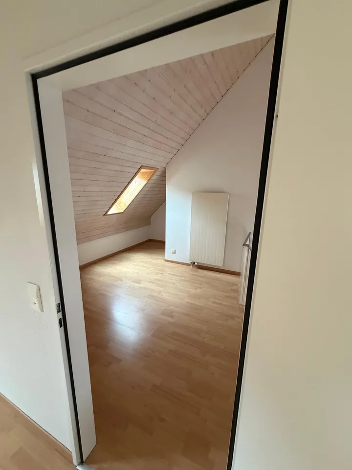 Einmalige 4.5 Zimmer Duplexwohnung!