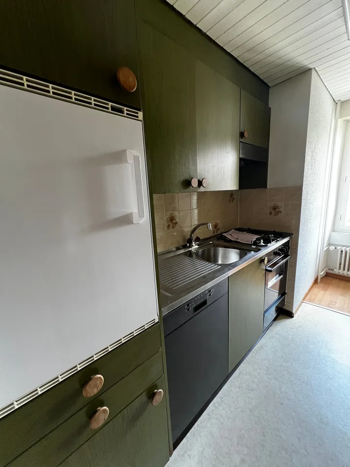 Charming 4-room apartment in an old building (10021)