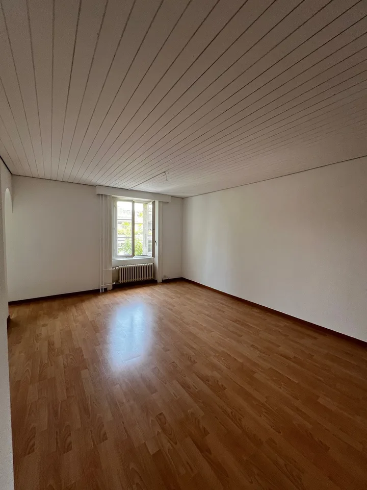 Charming 4-room apartment in an old building (10021)