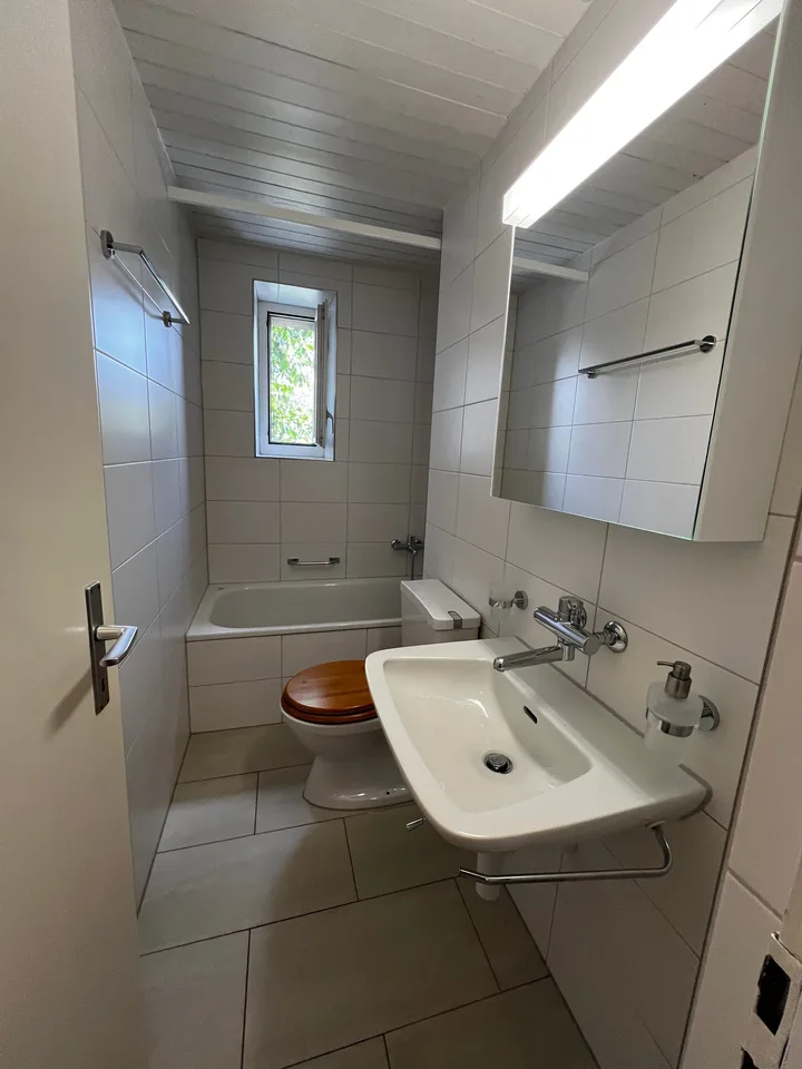 Charming 4-room apartment in an old building (10021)