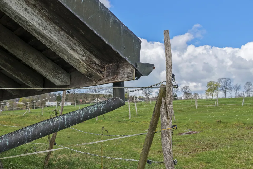 Entre chevaux et horizon urbain, la ferme que vous attendiez...
