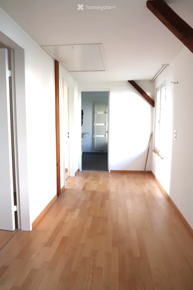 Charming 3.5-room maisonette apartment in an old farmhouse with a lake view
