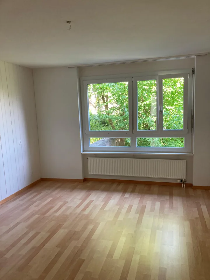 Helle 4.5-Zimmer-Wohnung mit Süd-Ausrichtung und schöner Aussicht