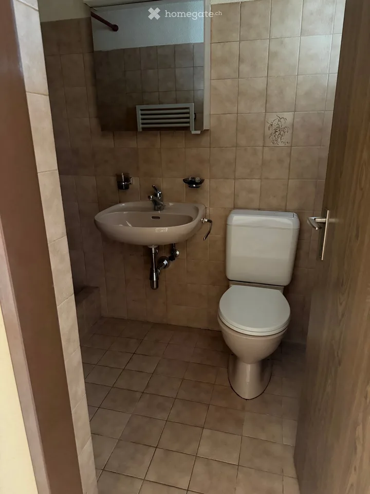 Gemütliche 1-Zimmer-Wohnung in Kempten, Zürich