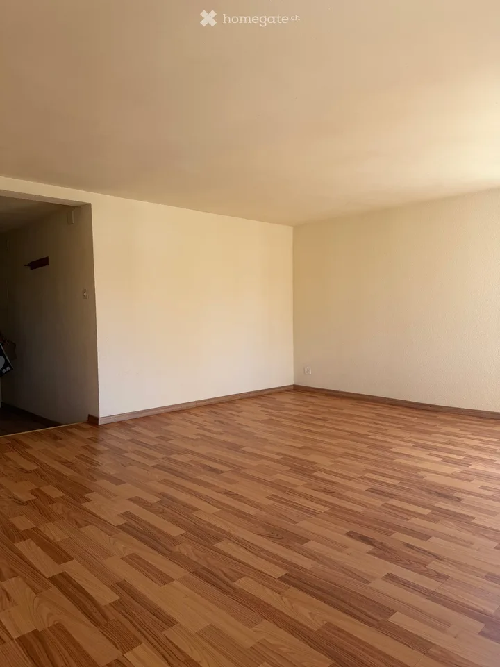 Gemütliche 1-Zimmer-Wohnung in Kempten, Zürich