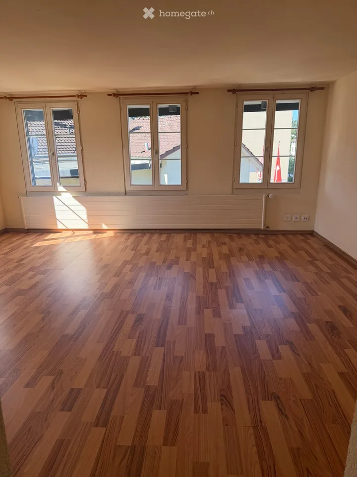 Gemütliche 1-Zimmer-Wohnung in Kempten, Zürich