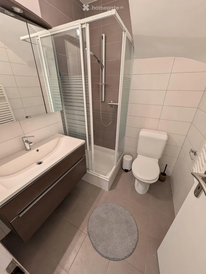 Renovated apartment, furnished 2 rooms with terrace in Bussigny