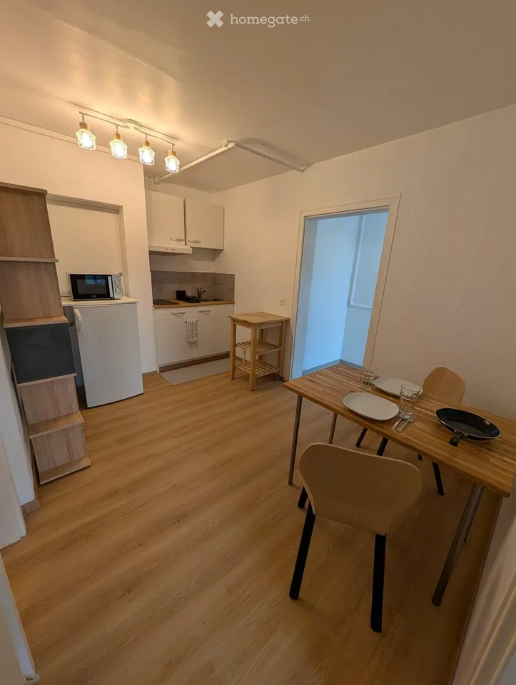 Renovated apartment, furnished 2 rooms with terrace in Bussigny