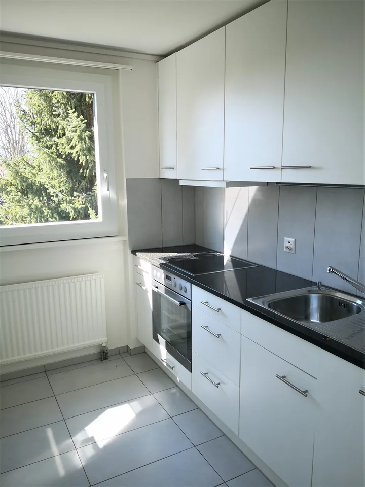schöne 3.5 Zi. Wohnung mit grosser Terrasse