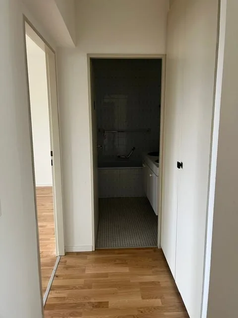 Appartement maisonnette de 6 pièces lumineux sur Hardstrasse à Bâle avec accès par ascenseur