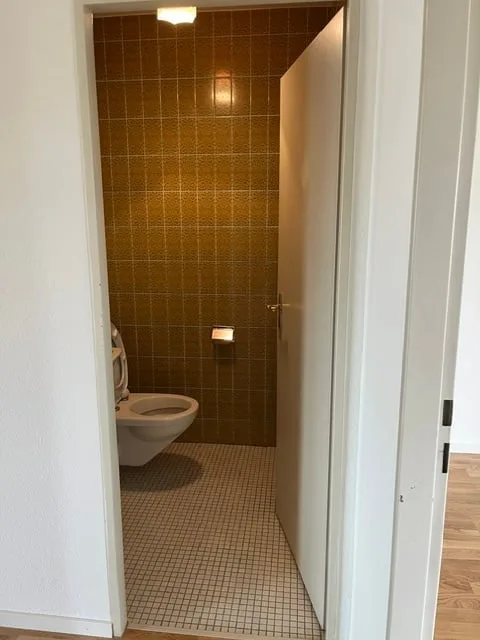 Appartement maisonnette de 6 pièces lumineux sur Hardstrasse à Bâle avec accès par ascenseur