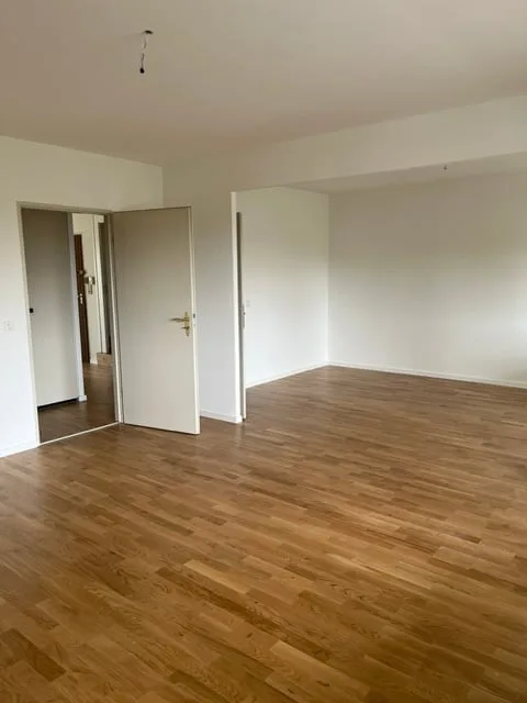 Appartement maisonnette de 6 pièces lumineux sur Hardstrasse à Bâle avec accès par ascenseur