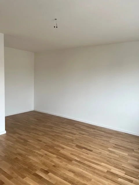 Appartement maisonnette de 6 pièces lumineux sur Hardstrasse à Bâle avec accès par ascenseur