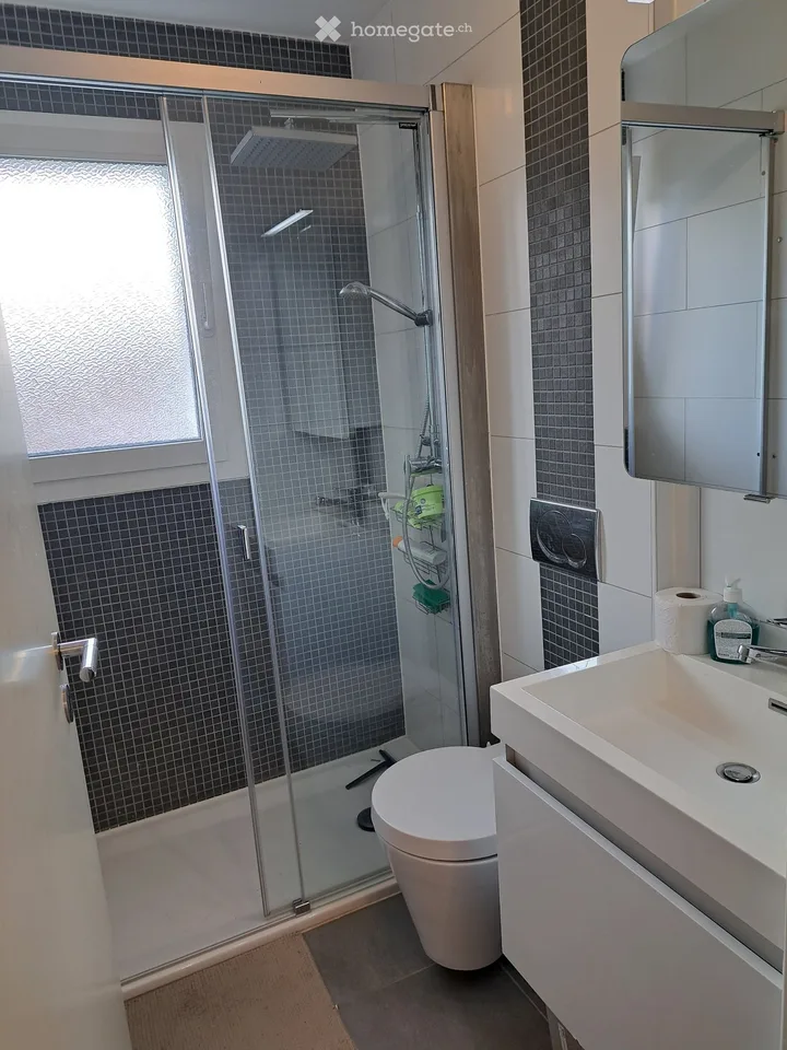 Magnificent 4.5-room apartment, large 35 m2 terrace
