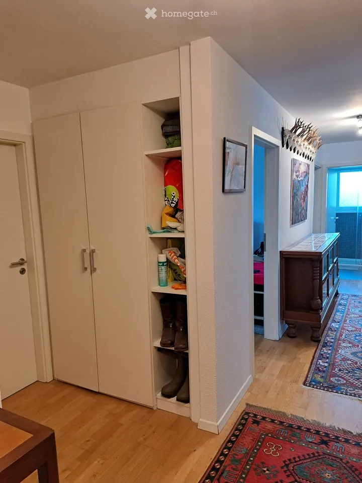 Magnificent 4.5-room apartment, large 35 m2 terrace