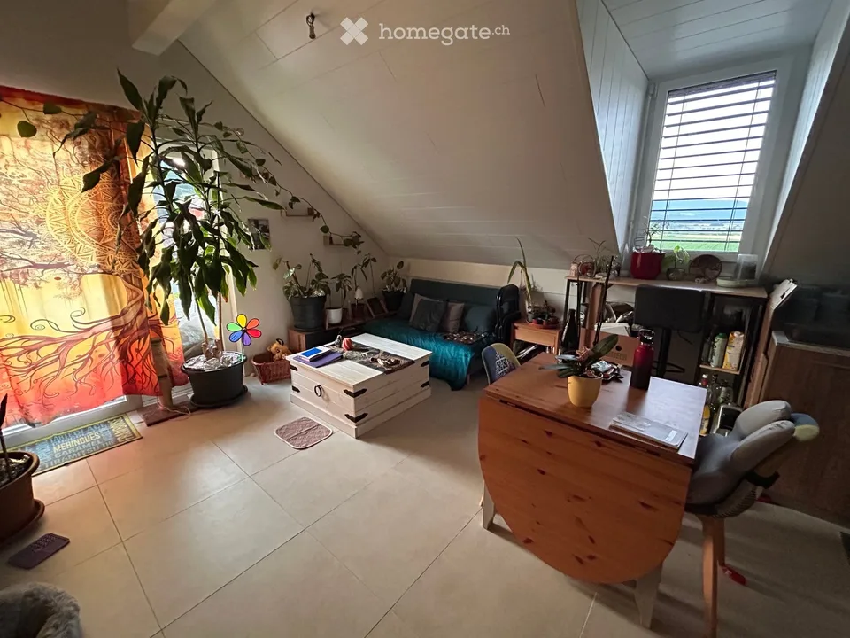 Appartements 3.5 pces avec balcon