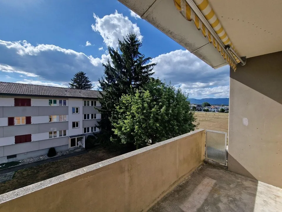 3 1/2-Zimmerwohnung, 2. Stock links