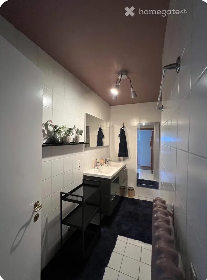 Character apartment 150 m2 - garden/partial lake view - 6-8 months
