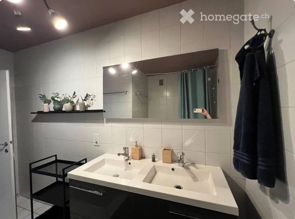 Character apartment 150 m2 - garden/partial lake view - 6-8 months