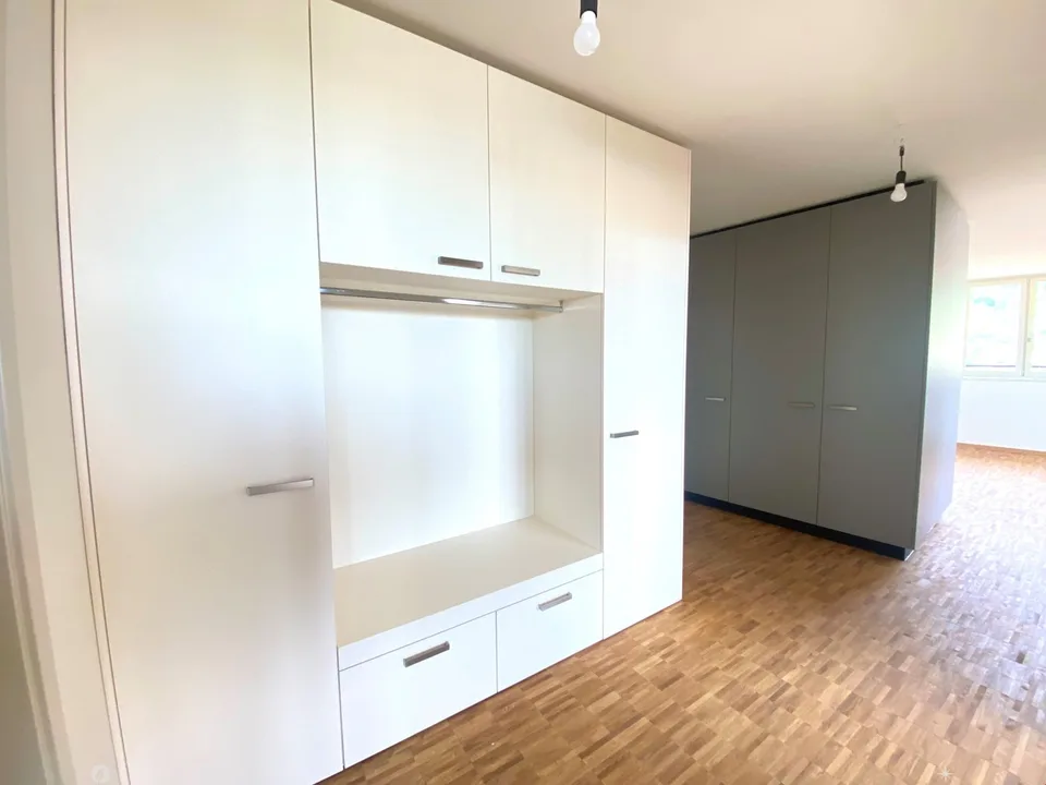 Neu erstellte Attikawohnung mit atemberaubender Aussicht