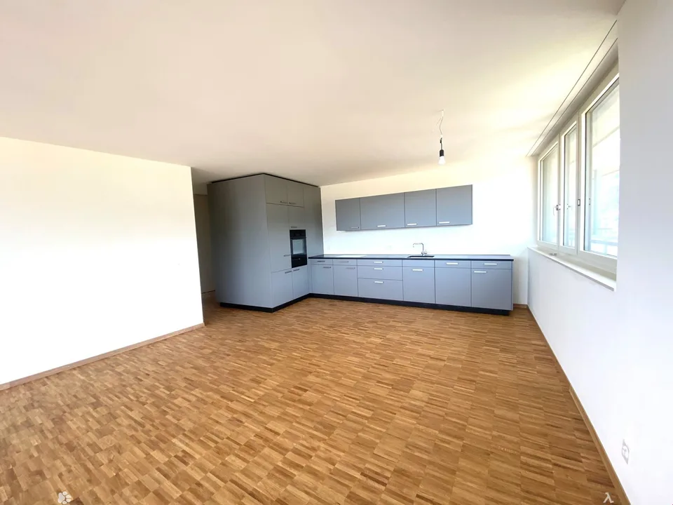 Neu erstellte Attikawohnung mit atemberaubender Aussicht