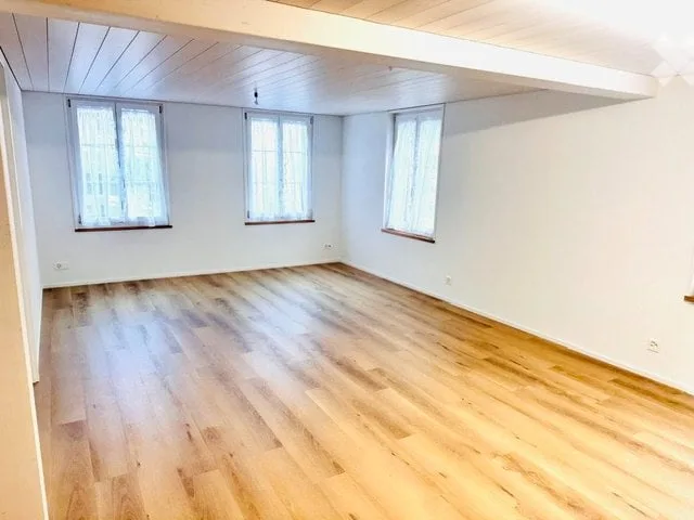 Appartement de 3 pièces rénové avec espace de sièges idyllique