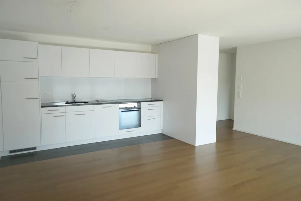2.5 Room Apartment near Lake Hallwil