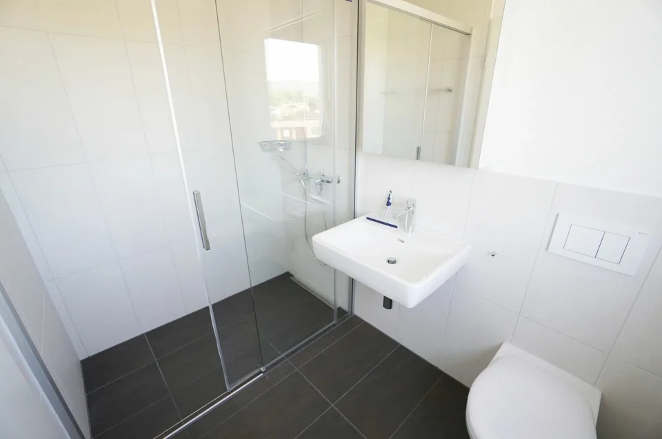 2.5 Room Apartment near Lake Hallwil