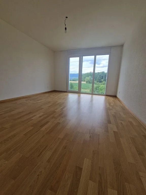 4 1/2-Zimmerwohnung, 1. Stock links
