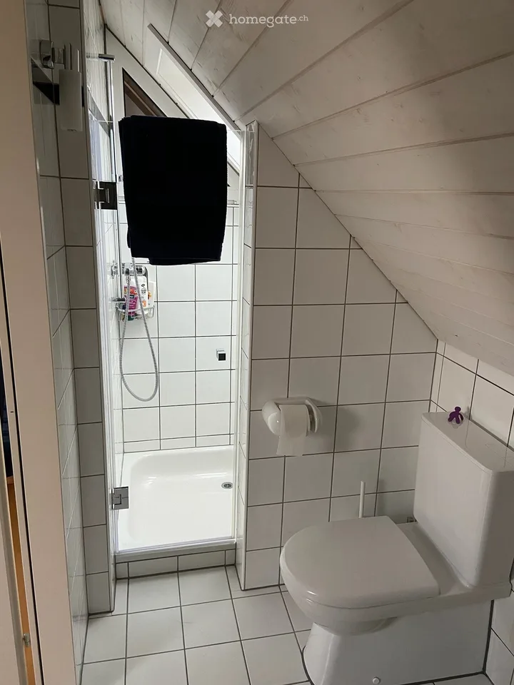 Charming 4.5-room maisonette apartment with balcony and fireplace in Volketswil