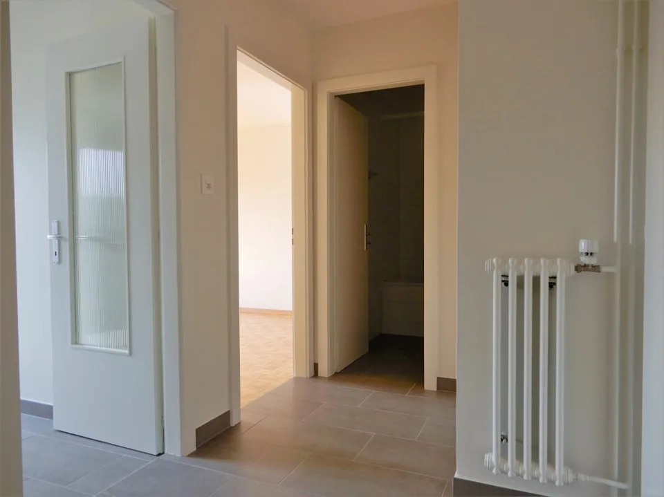 Beautiful renovated 2-room apartment
