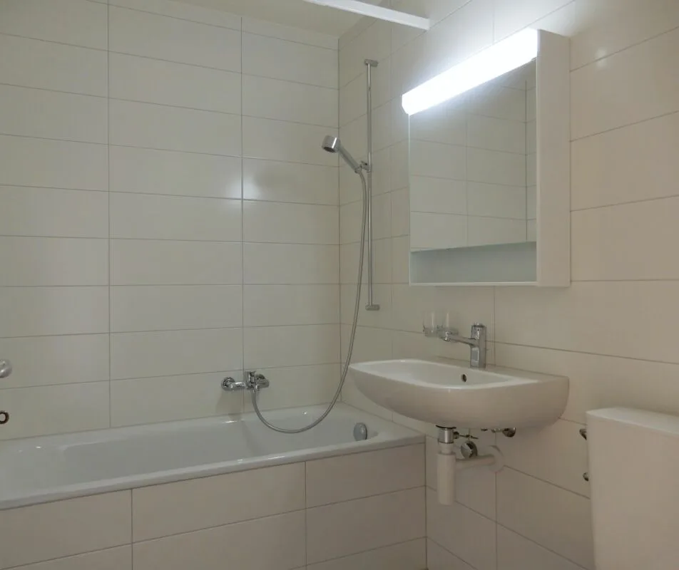 Beautiful renovated 2-room apartment