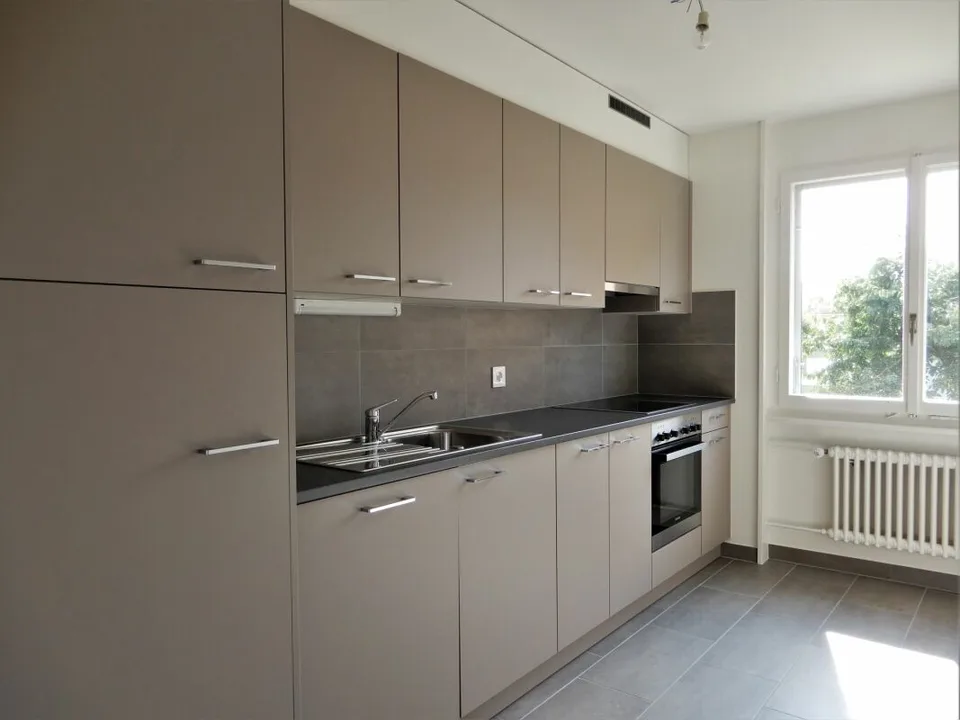 Beautiful renovated 2-room apartment