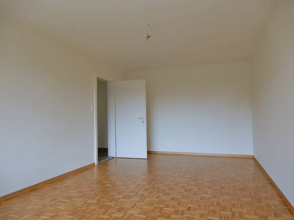 Beautiful renovated 2-room apartment